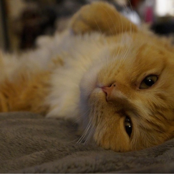 Meet your Posher, Christina - Picture 11 of 15